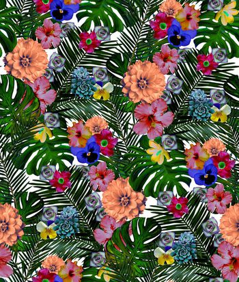 409235-热带多肉植物