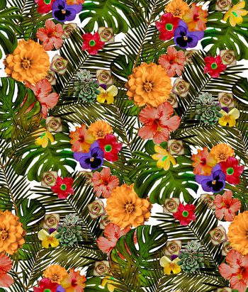 409236-热带多肉植物