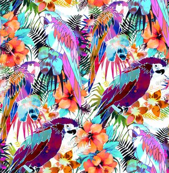 409237-幻彩热带鹦鹉