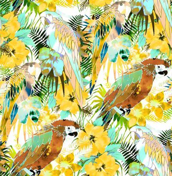 409238-幻彩热带鹦鹉