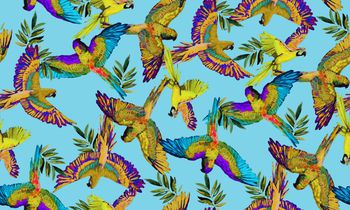 409240-经典油画鹦鹉