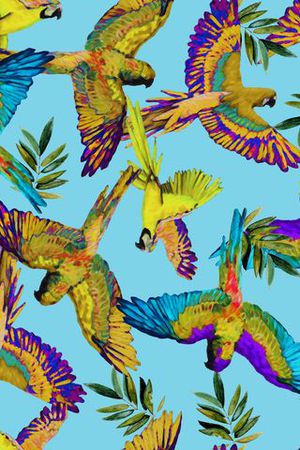 鹦鹉印花华亿平台图片