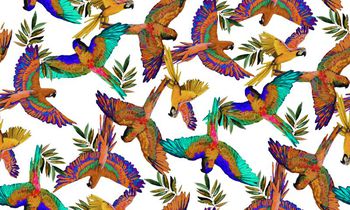 409241-经典油画鹦鹉