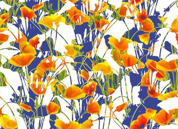 409270-花丛剪影错位