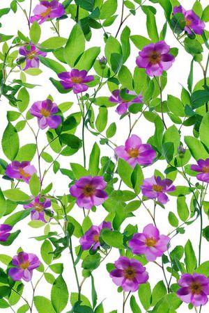 简约 数码印花华亿平台图片