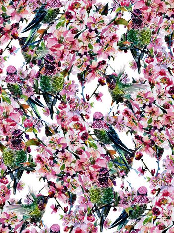 409303-水墨梅花鸟