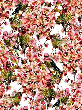 409304-水墨梅花鸟