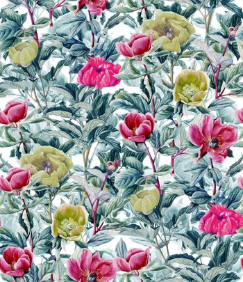 409314-幽静牡丹花