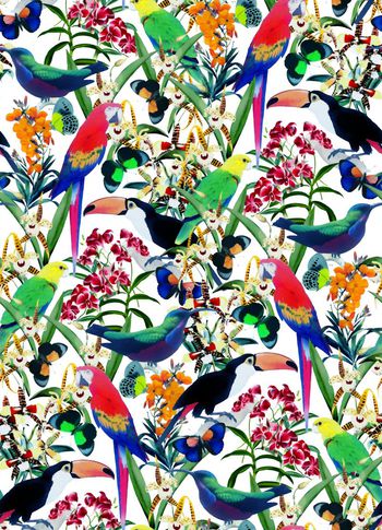 409325-热带动物园