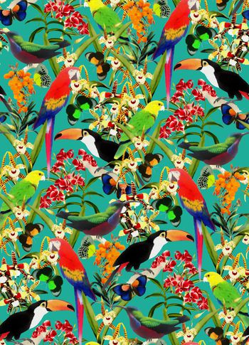 409326-热带动物园