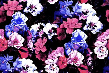 409338-经典典雅牡丹