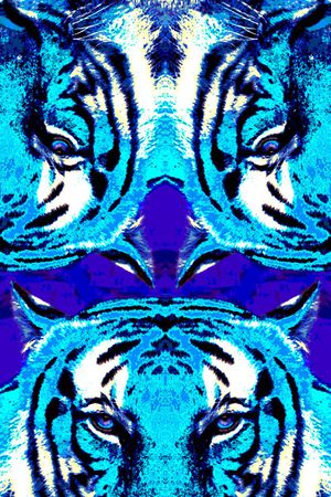 镜像印花华亿平台图片