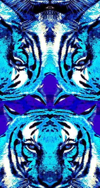 409361-幻彩霸气虎头