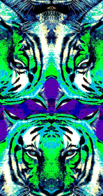 409362-幻彩霸气虎头