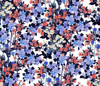 409368-水彩矢车菊