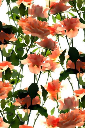 写实印花华亿平台图片