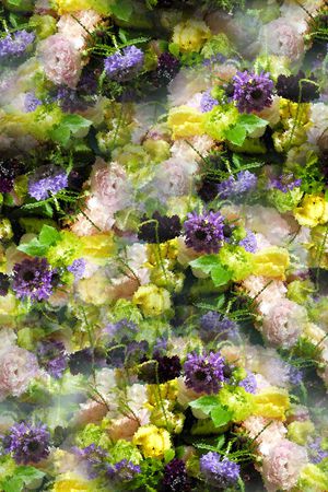 VALENTINO华伦天奴印花华亿平台图片