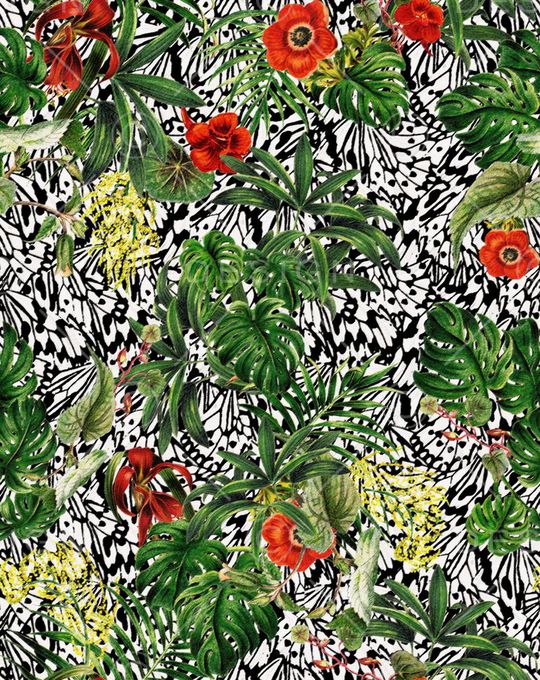 热带印花华亿平台图片