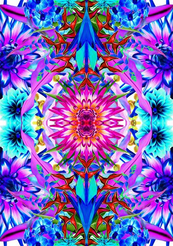 409547-镜像花朵开放