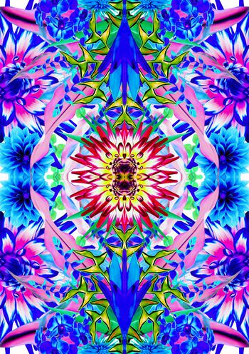 409548-镜像花朵开放