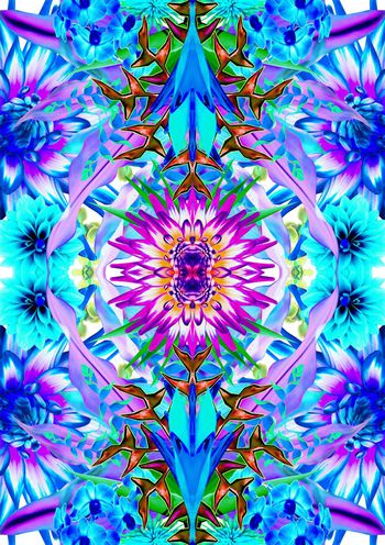 409549-镜像花朵开放