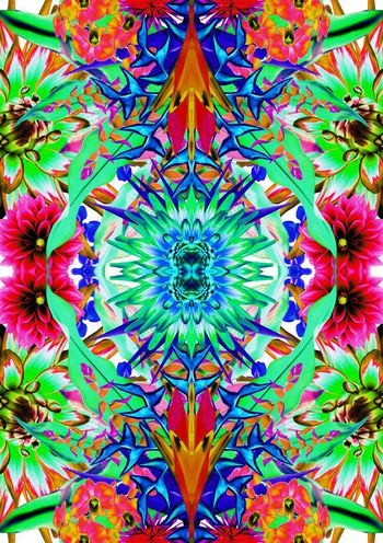 409550-镜像花朵开放