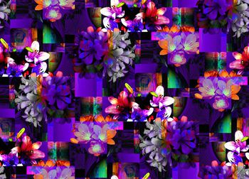 409662-玻璃碎片叠加百合