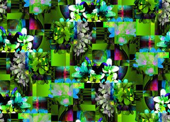 409664-玻璃碎片叠加百合