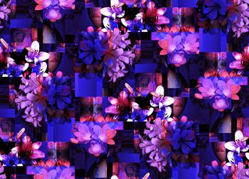 409665-玻璃碎片叠加百合