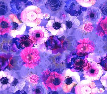 409677-绽放水中花