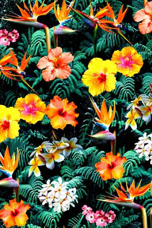 热带印花华亿平台图片