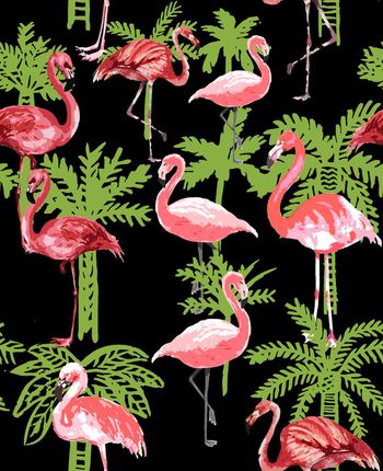 409694-火烈鸟与棕榈树