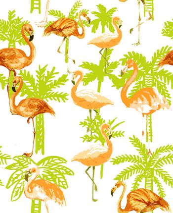 409695-火烈鸟与棕榈树