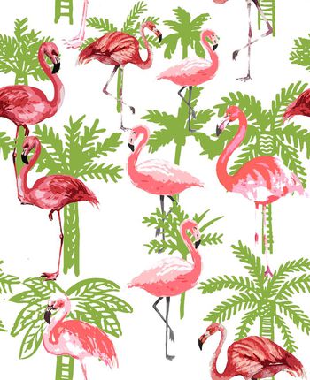 409696-火烈鸟与棕榈树