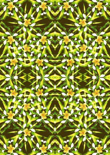 409701-镜像小花蕊