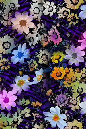 梦幻印花华亿平台图片