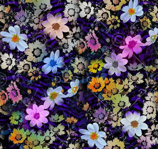 梦幻印花华亿平台图片