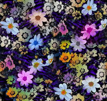 409781-梦幻野菊花