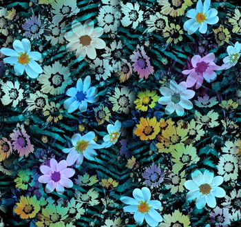 409782-梦幻野菊花