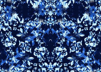 409785-镜像冷艳花