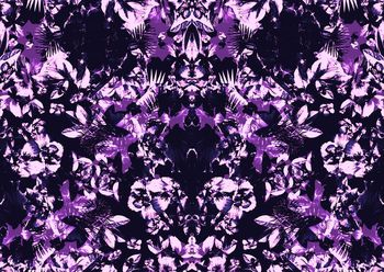 409786-镜像冷艳花