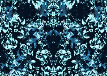 409787-镜像冷艳花