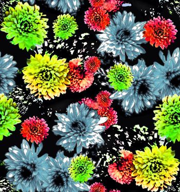 409793-炫彩大丽花