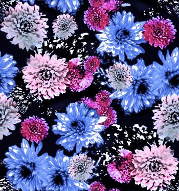 409794-炫彩大丽花