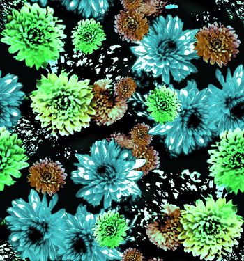 409795-炫彩大丽花