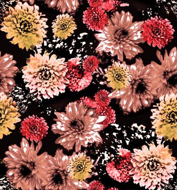 409796-炫彩大丽花