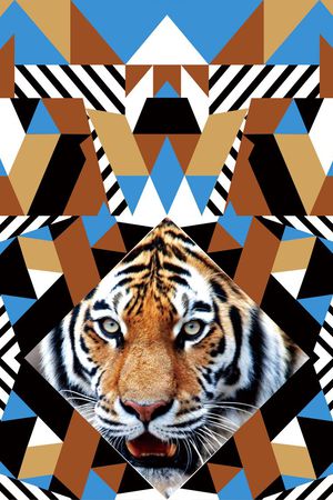 大牌印花华亿平台图片