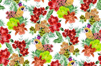 409864-手绘大牌热带鹦鹉