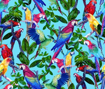 409872-雨林水彩鹦鹉