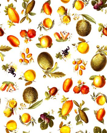 409883-热带水果收集